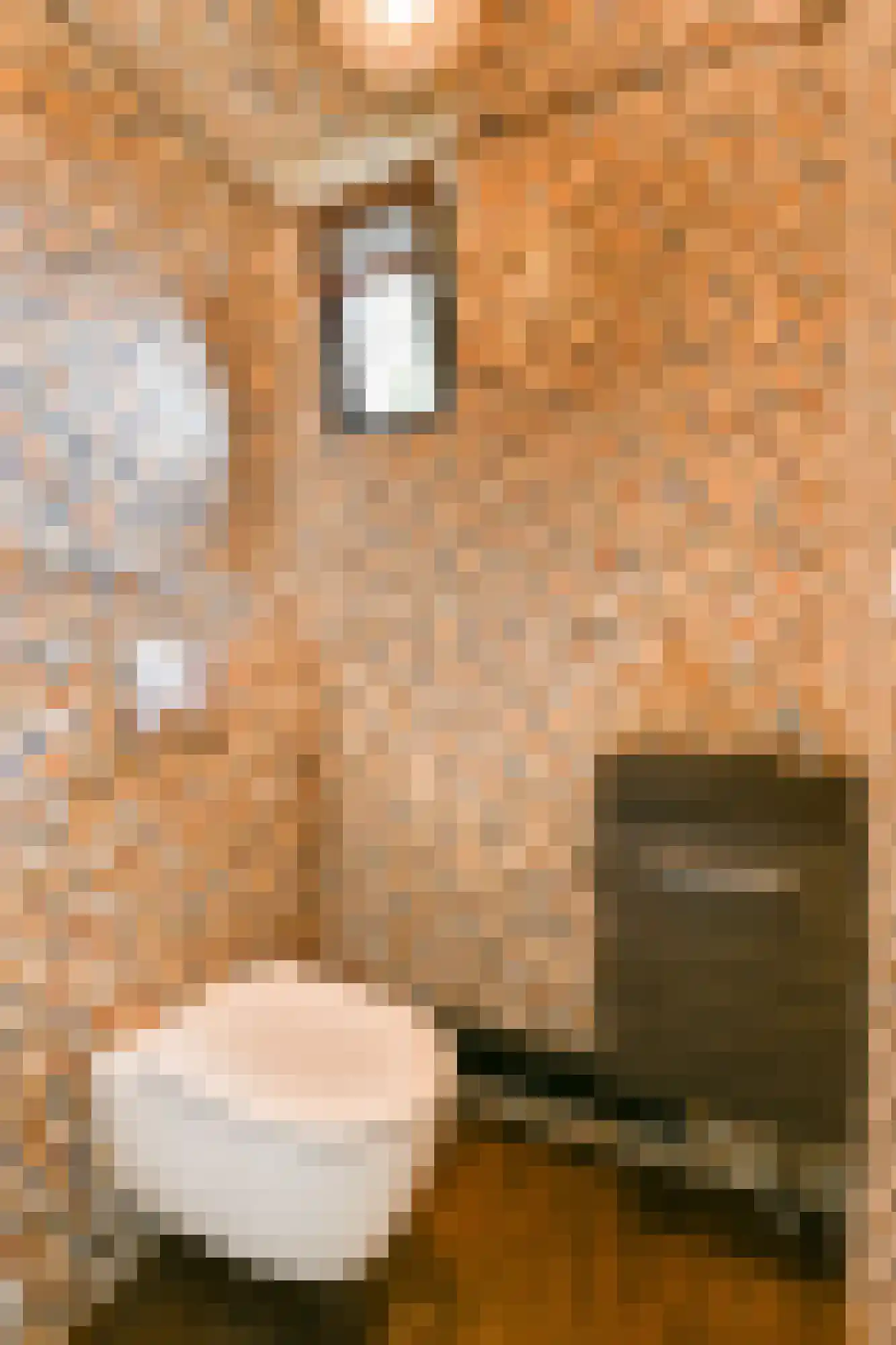 Geerdinkhof 377 Amsterdam thumbnail 16