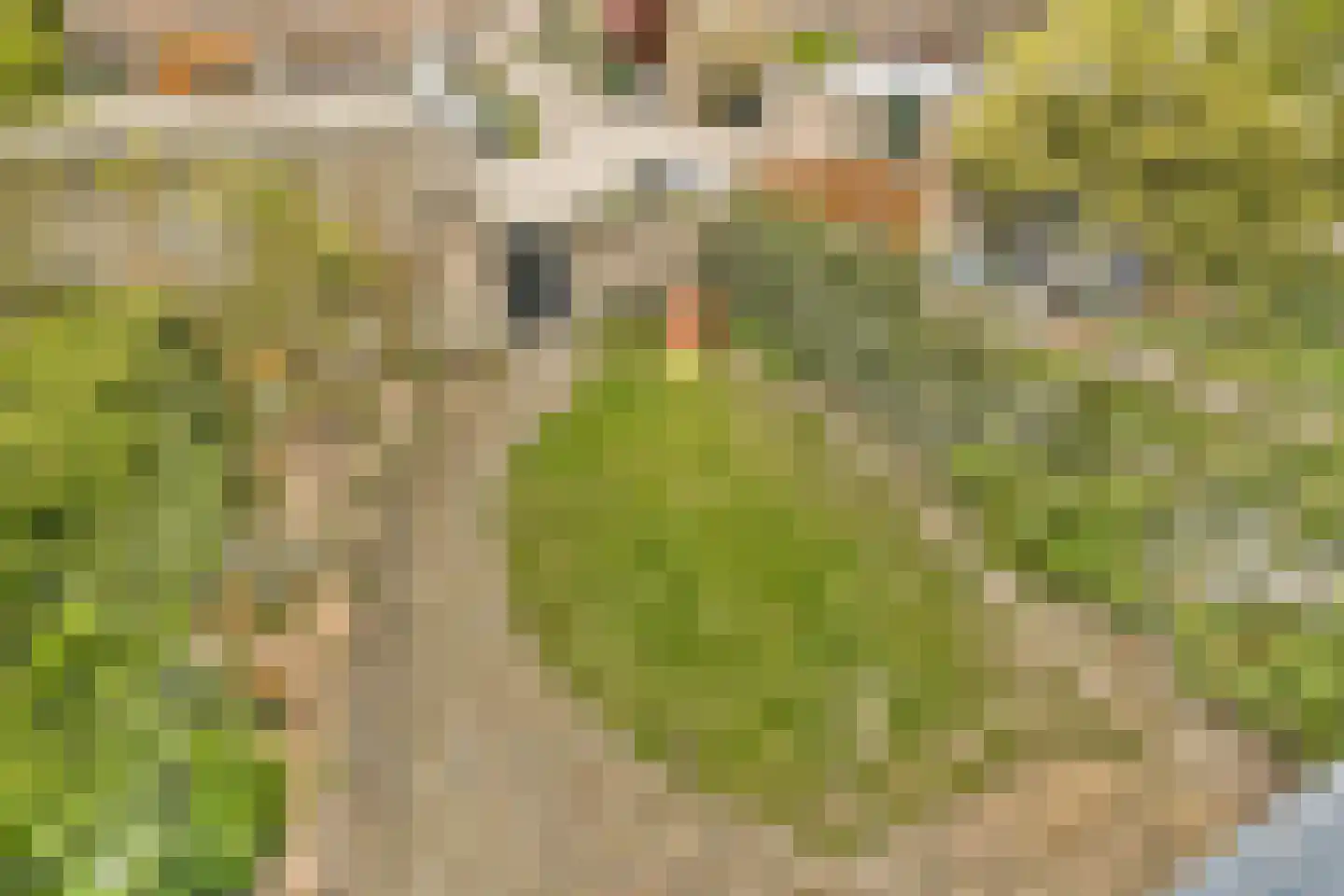 Geerdinkhof 377 Amsterdam thumbnail 31