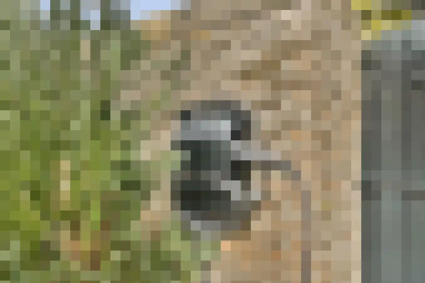 Geerdinkhof 377 Amsterdam thumbnail 32