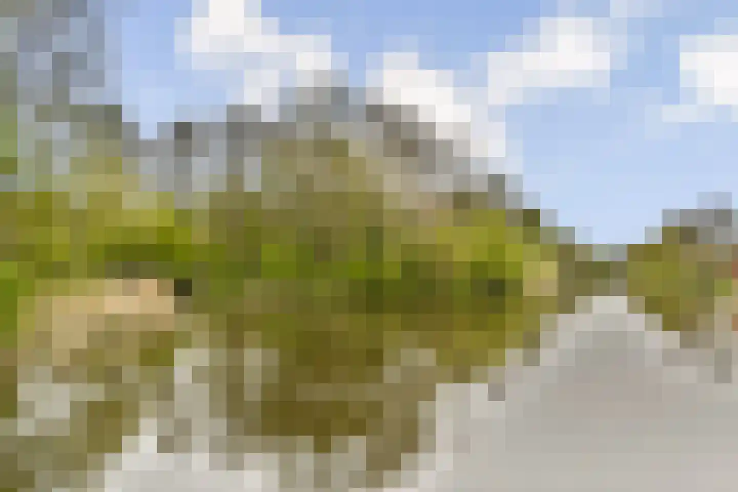 Geerdinkhof 377 Amsterdam thumbnail 34