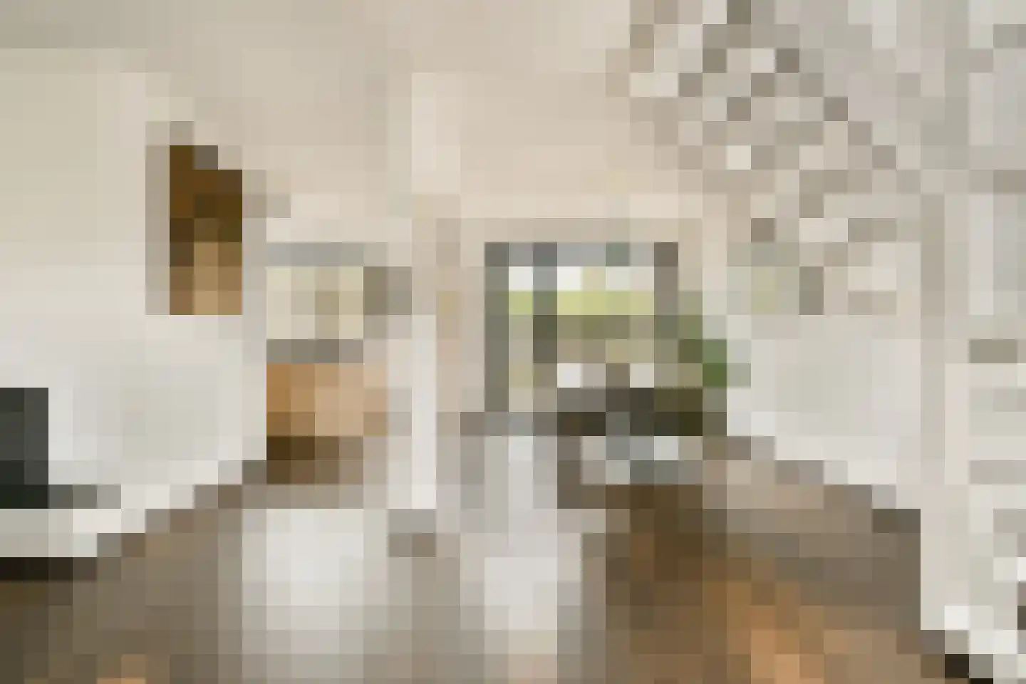 Geerdinkhof 377 Amsterdam thumbnail 9