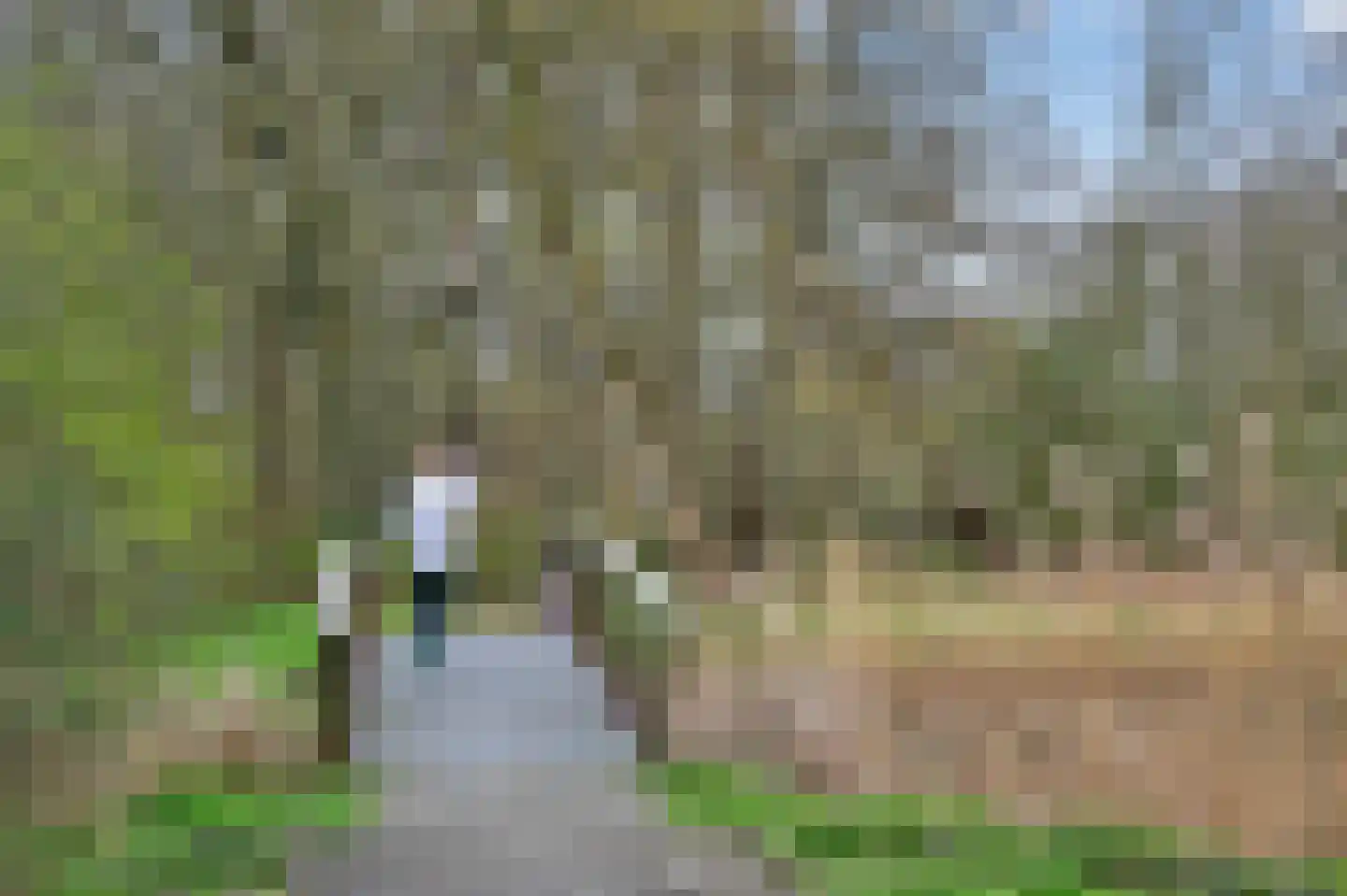 Geerdinkhof 435 Amsterdam thumbnail 42