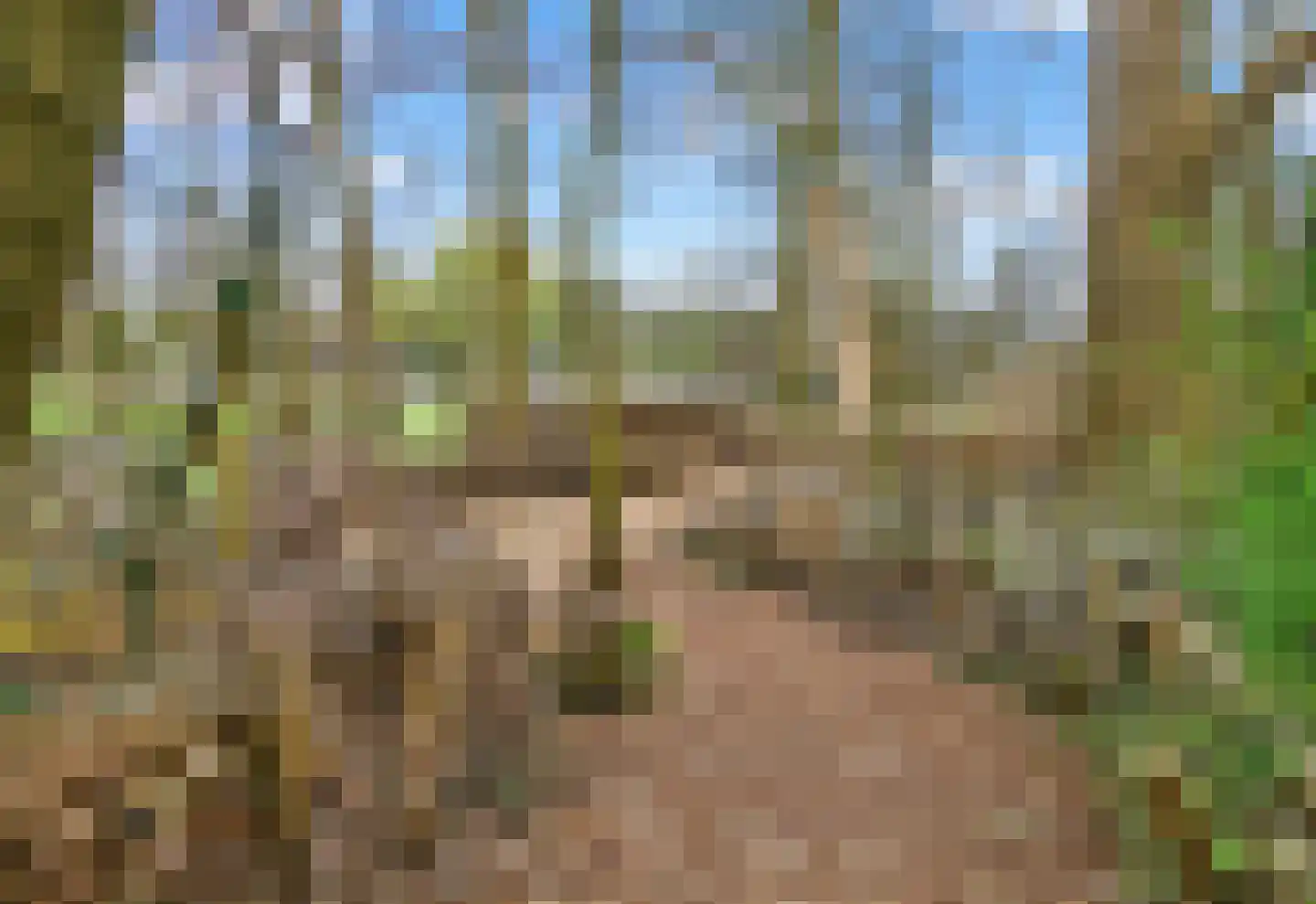 Geerdinkhof 435 Amsterdam thumbnail 46
