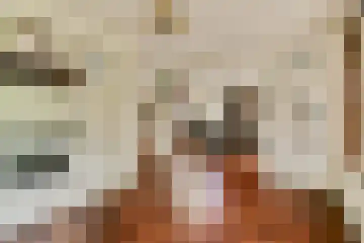 Geerdinkhof 441 Amsterdam thumbnail 11