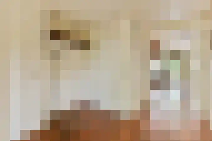 Geerdinkhof 441 Amsterdam thumbnail 24
