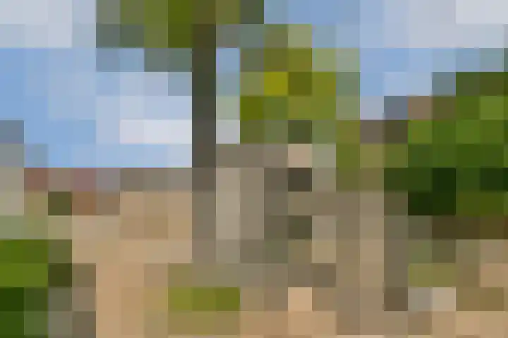 Geerdinkhof 441 Amsterdam thumbnail 25