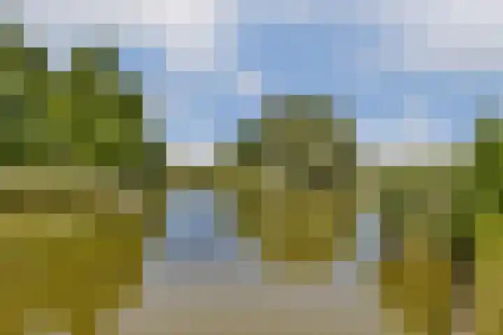 Geerdinkhof 441 Amsterdam thumbnail 30