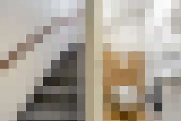 Geerdinkhof 515 Amsterdam thumbnail 18