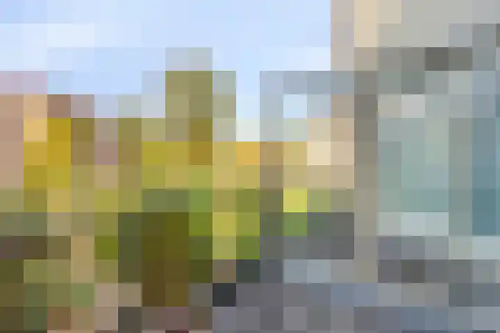 Geerdinkhof 515 Amsterdam thumbnail 29