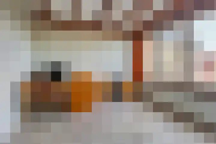 Geerdinkhof 515 Amsterdam thumbnail 34