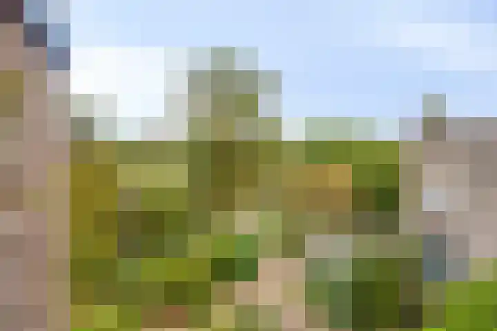 Geerdinkhof 515 Amsterdam thumbnail 37