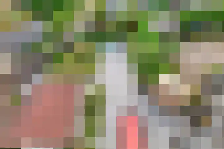 Geerdinkhof 515 Amsterdam thumbnail 42
