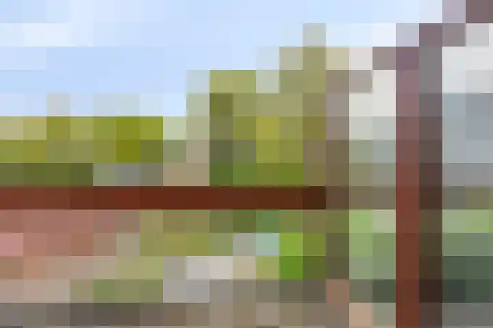 Geerdinkhof 515 Amsterdam thumbnail 45