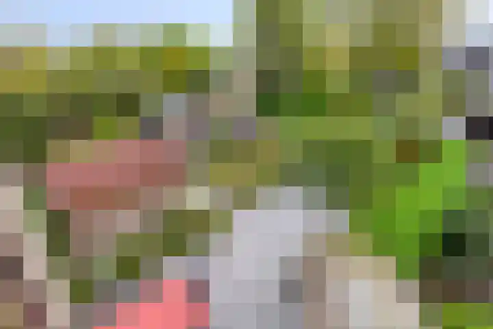 Geerdinkhof 515 Amsterdam thumbnail 46