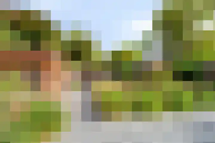 Geerdinkhof 515 Amsterdam thumbnail 49