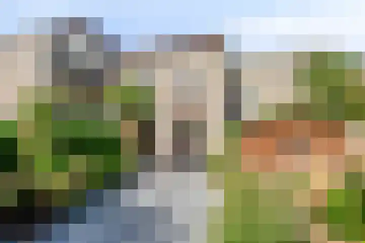 Geerdinkhof 515 Amsterdam thumbnail 50