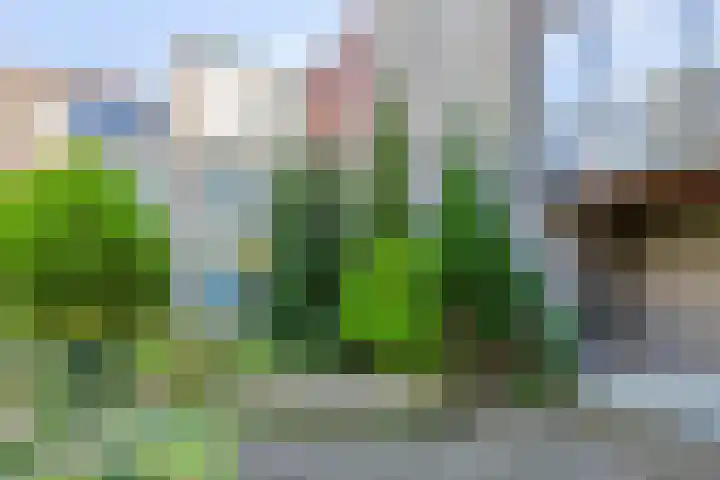 Geerdinkhof 515 Amsterdam thumbnail 54