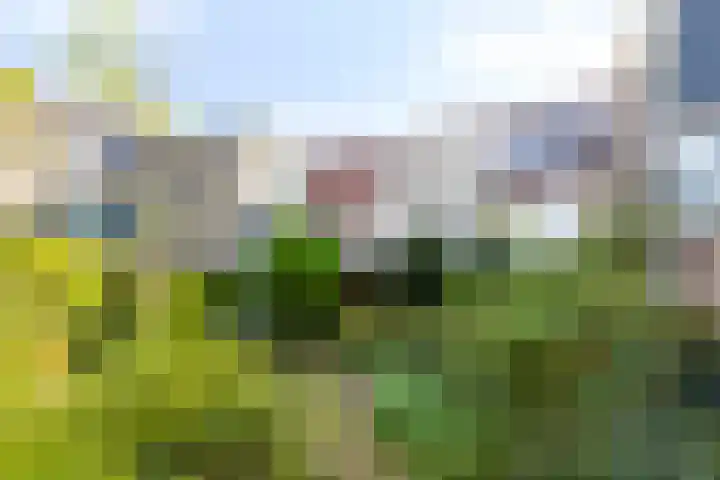 Geerdinkhof 515 Amsterdam thumbnail 55