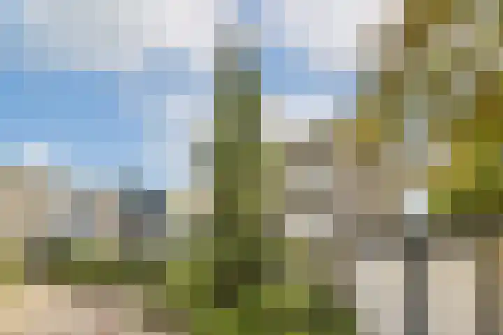 Geerdinkhof 559 Amsterdam thumbnail 33