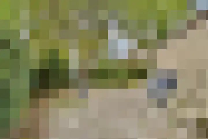 Geerdinkhof 559 Amsterdam thumbnail 8