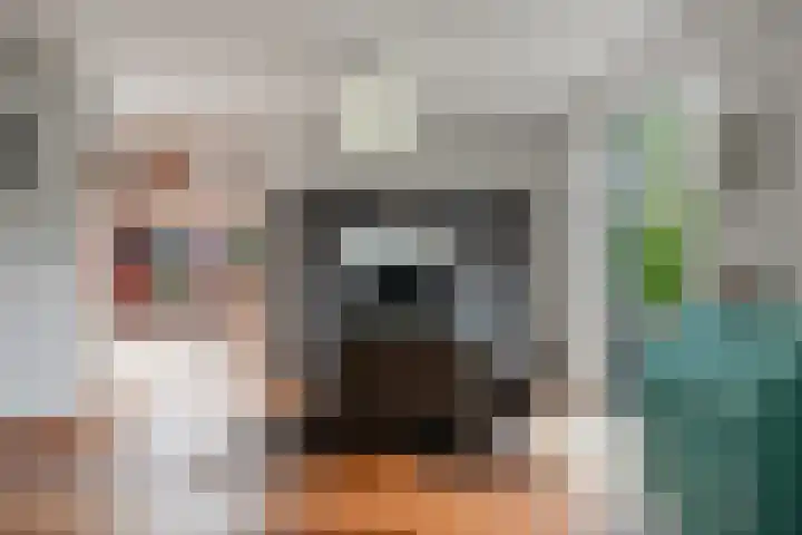 Geerdinkhof 566 Amsterdam thumbnail 15