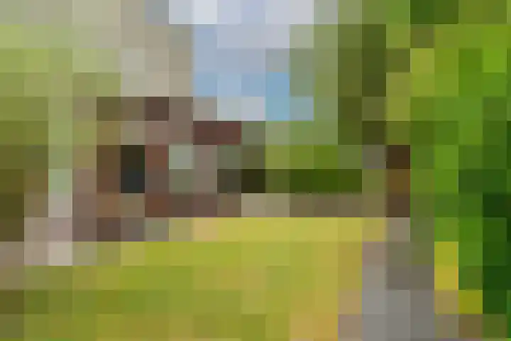 Geerdinkhof 566 Amsterdam thumbnail 28