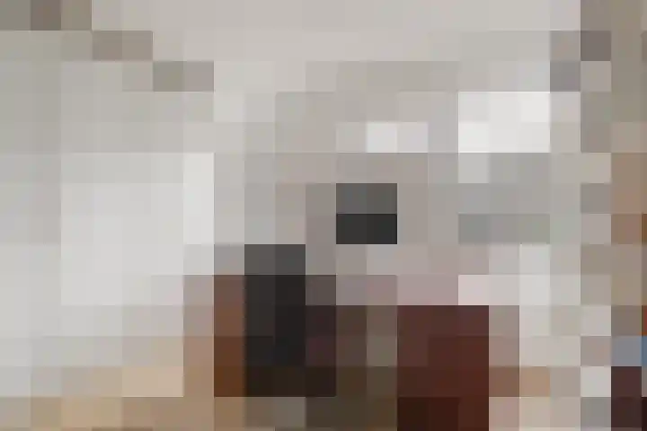 Geerdinkhof 566 Amsterdam thumbnail 37