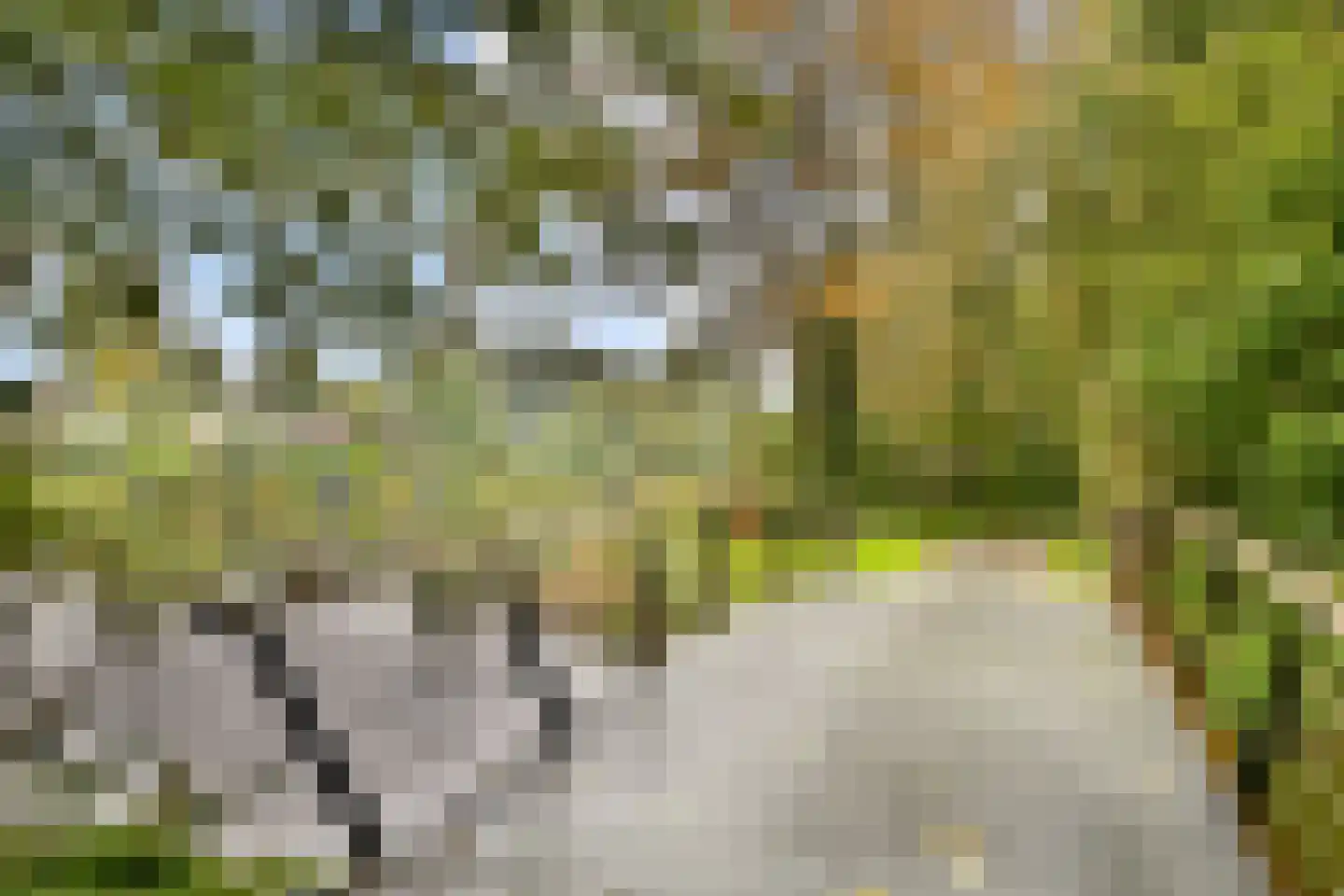 Geerdinkhof 596 Amsterdam thumbnail 40