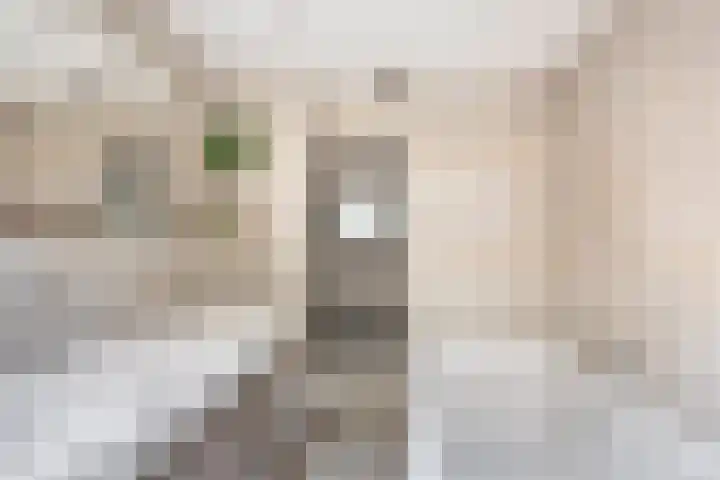 Geerdinkhof 674 Amsterdam thumbnail 17