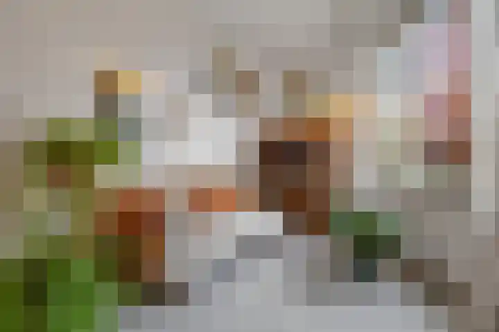 Geerdinkhof 73 Amsterdam thumbnail 14