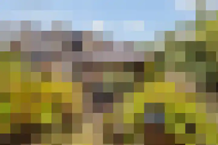 Geerdinkhof 73 Amsterdam thumbnail 22