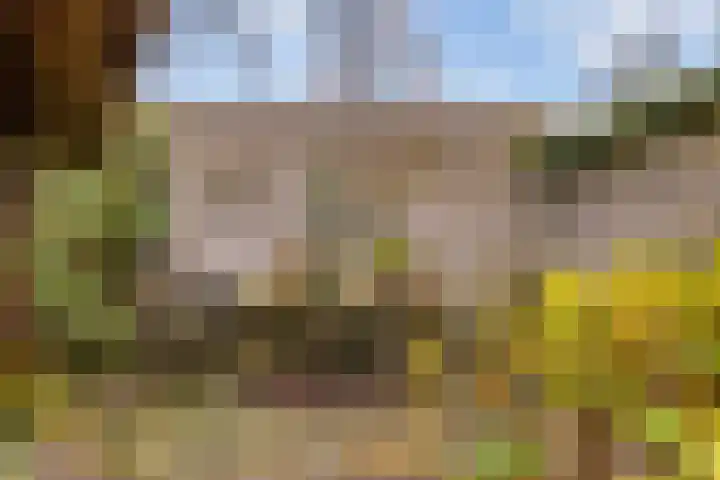 Geerdinkhof 73 Amsterdam thumbnail 24
