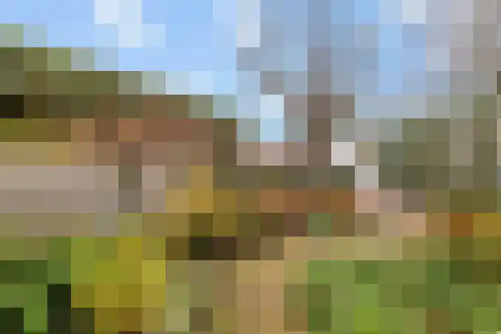 Geerdinkhof 73 Amsterdam thumbnail 27