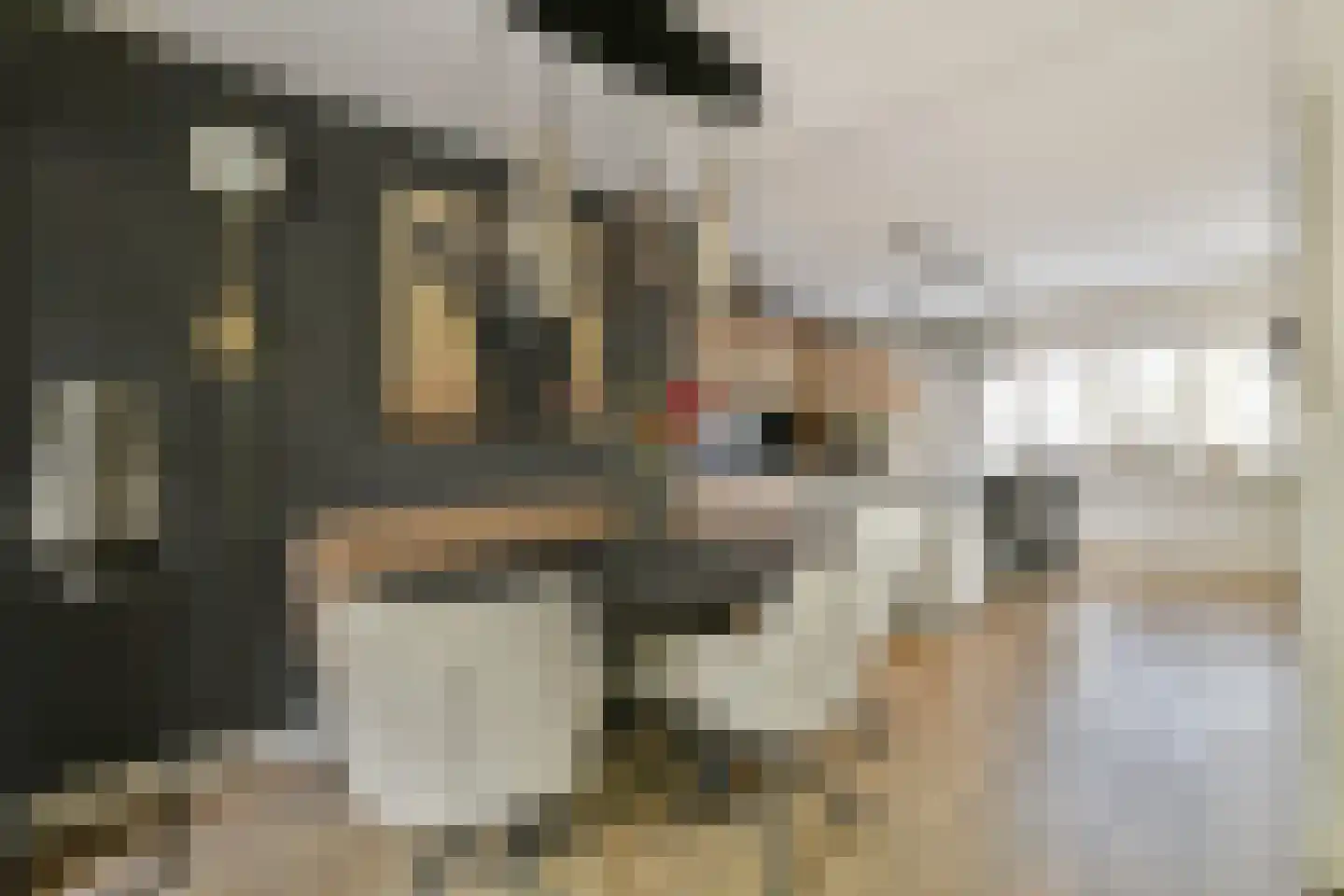 Geerdinkhof 96 Amsterdam thumbnail 15