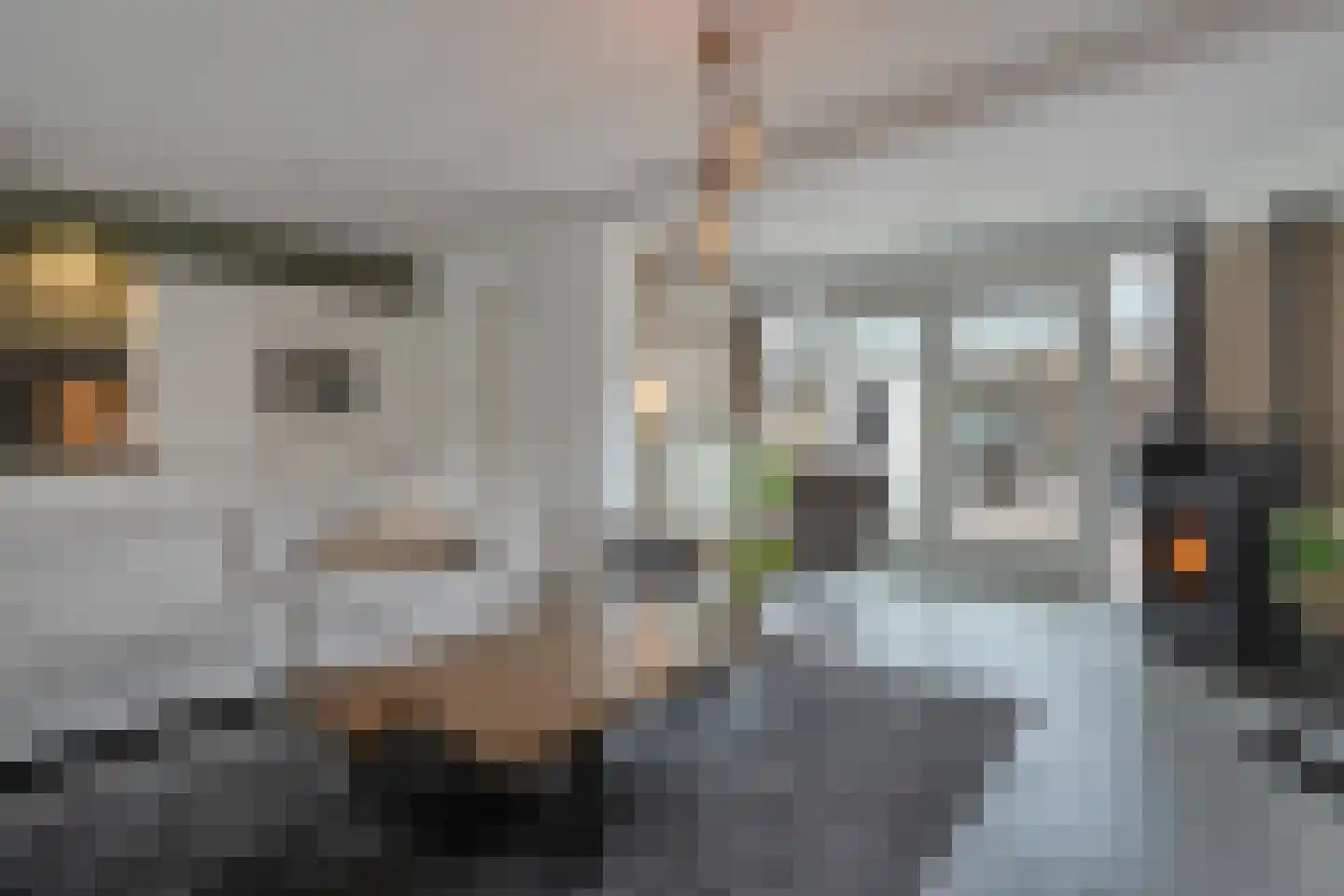 Geerdinkserf 55 Dalfsen thumbnail 10