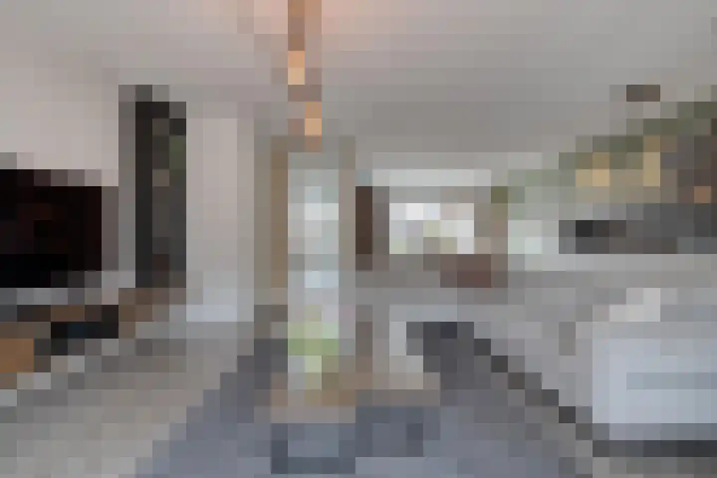 Geerdinkserf 55 Dalfsen thumbnail 11