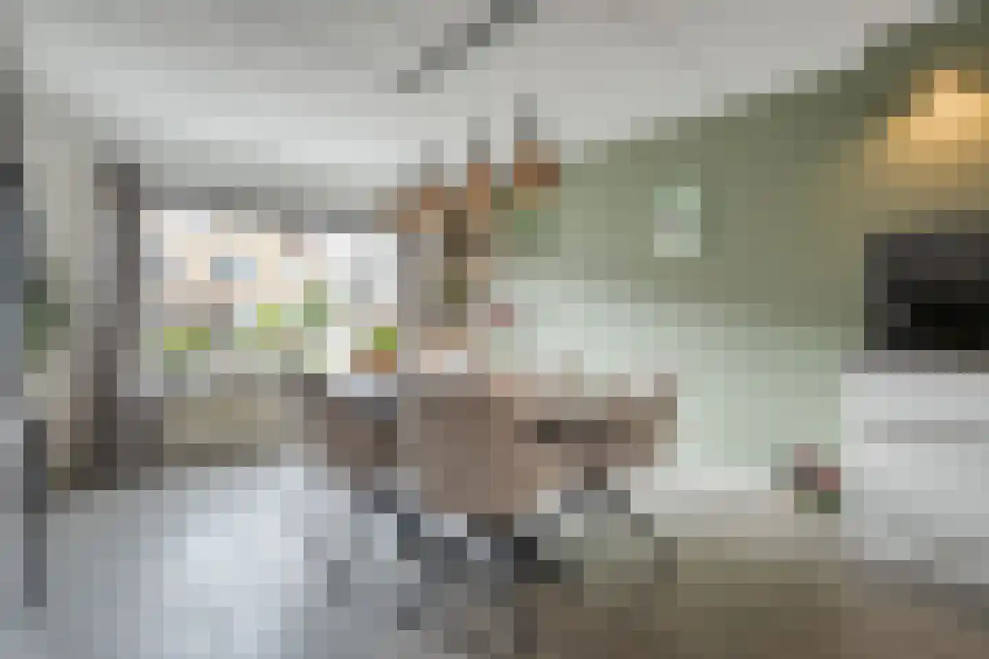 Geerdinkserf 55 Dalfsen thumbnail 13