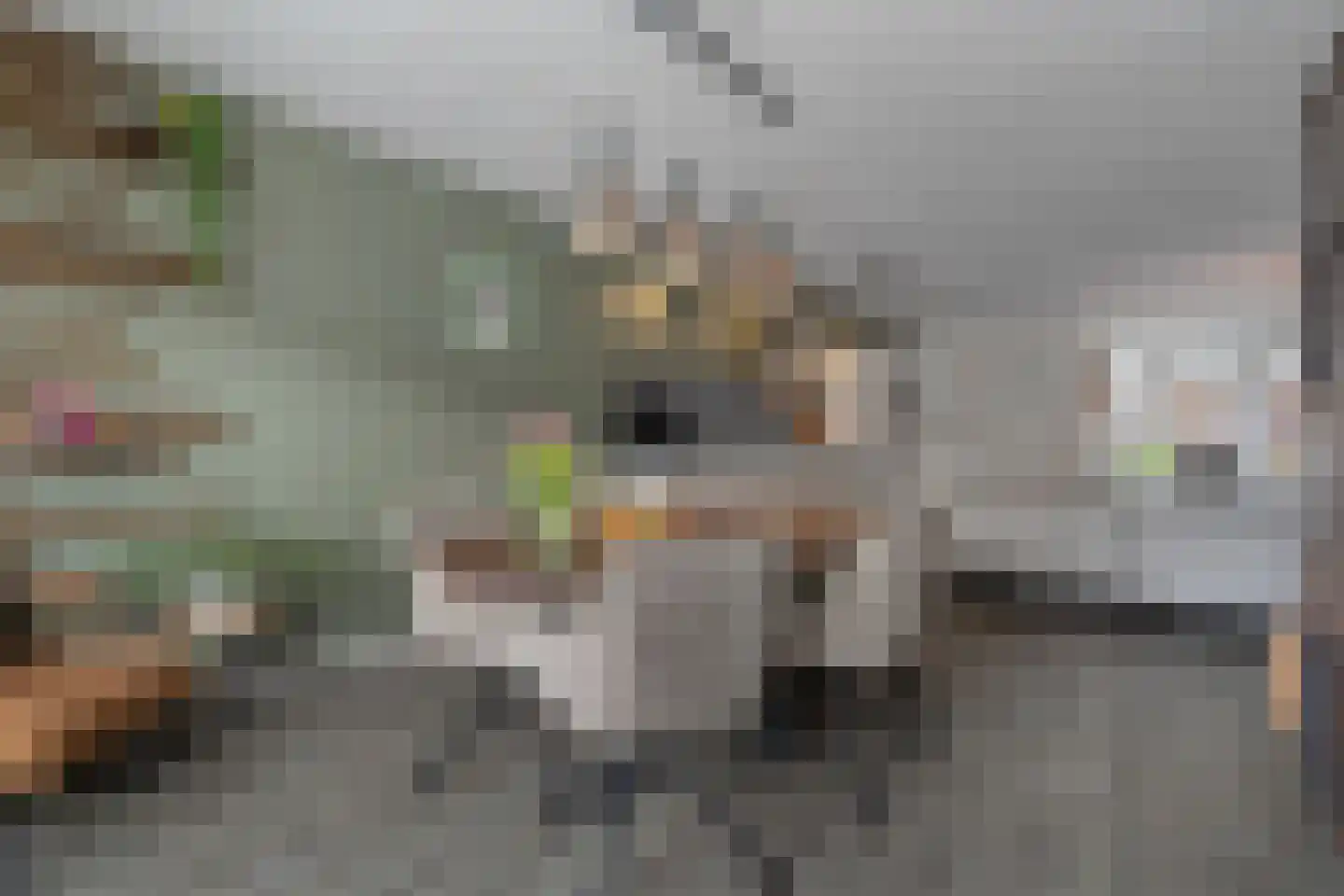Geerdinkserf 55 Dalfsen thumbnail 14