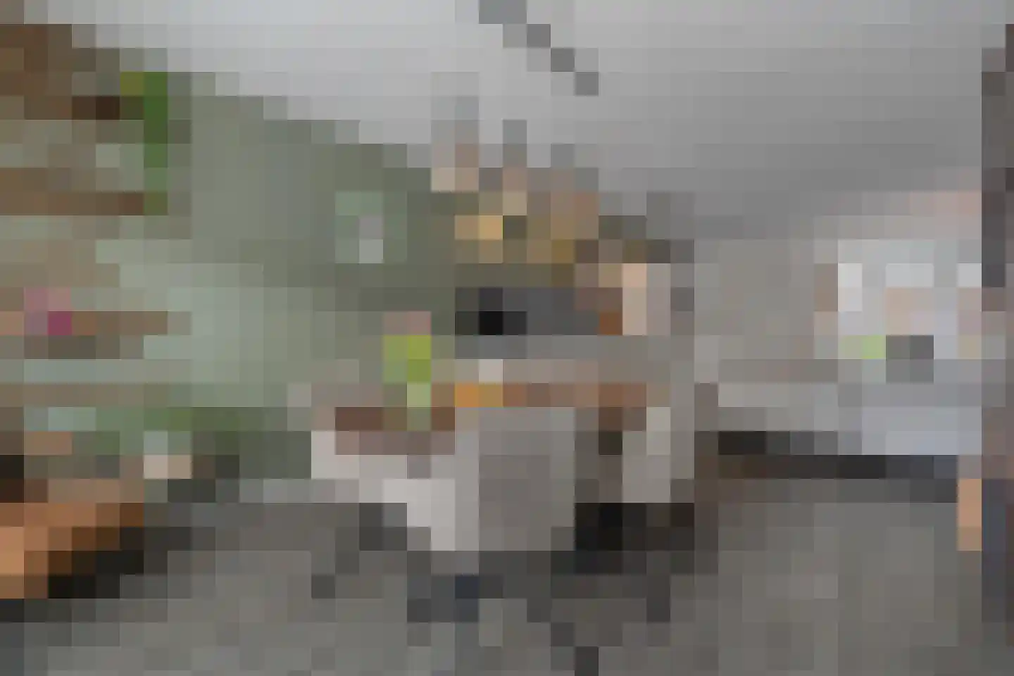 Geerdinkserf 55 Dalfsen thumbnail 14