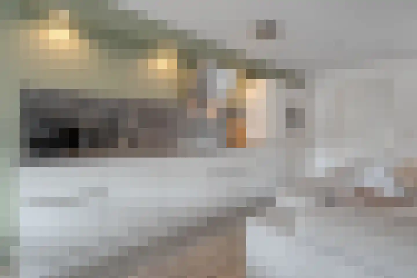 Geerdinkserf 55 Dalfsen thumbnail 16