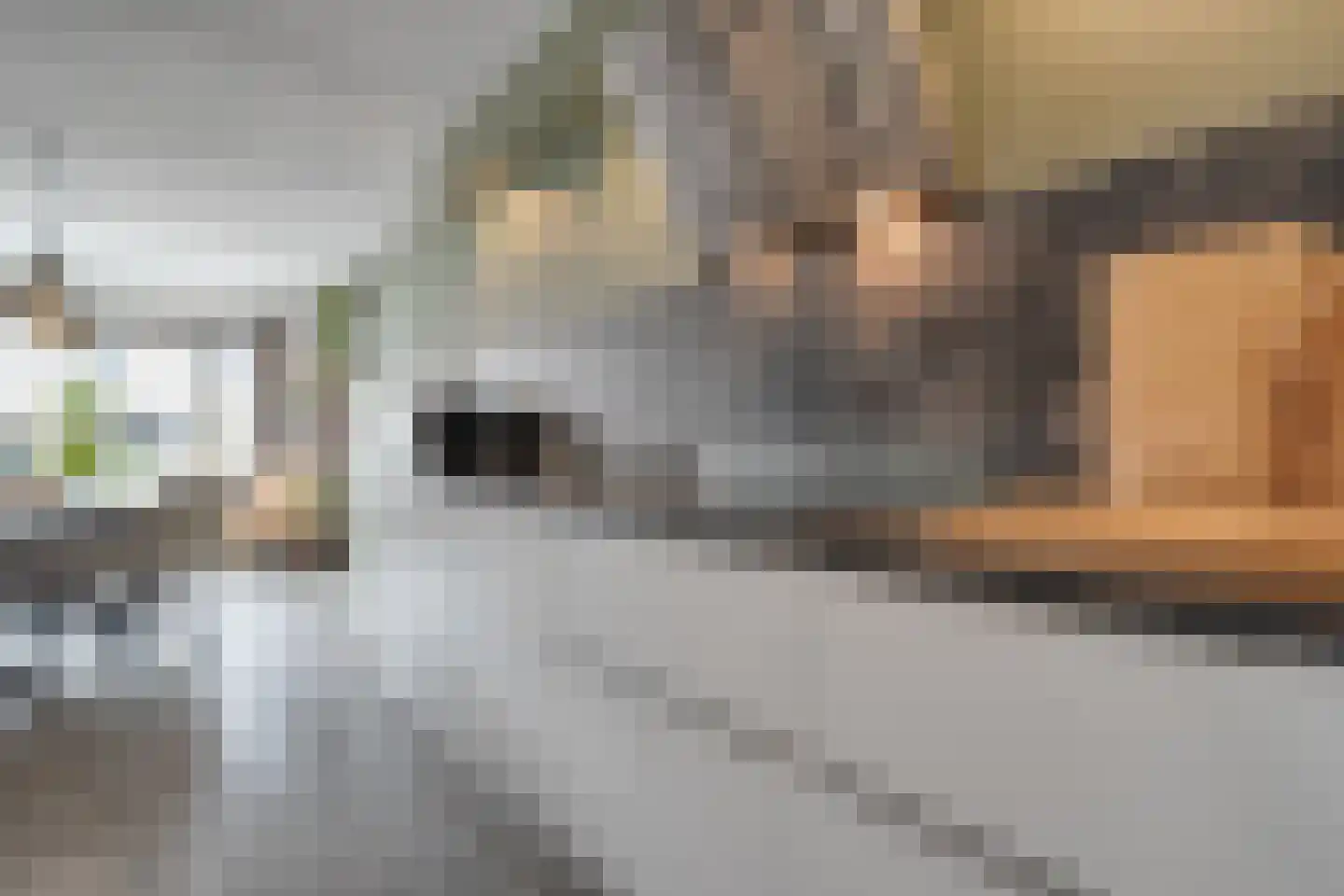 Geerdinkserf 55 Dalfsen thumbnail 19