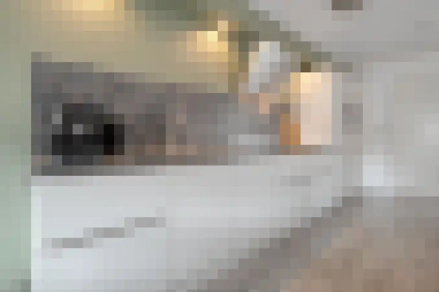 Geerdinkserf 55 Dalfsen thumbnail 20