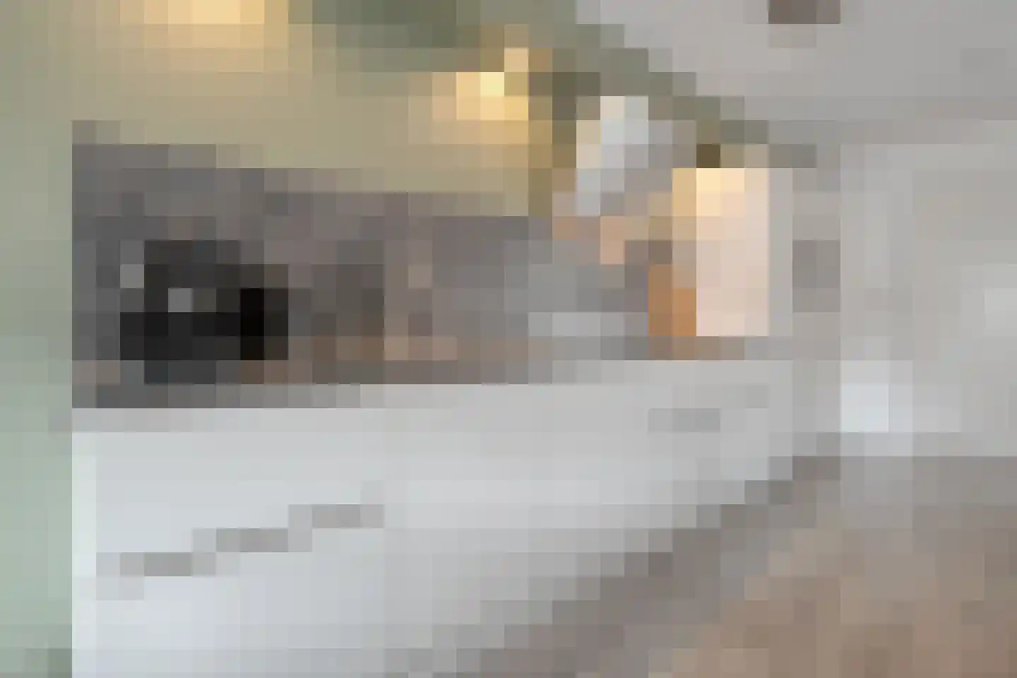 Geerdinkserf 55 Dalfsen thumbnail 20