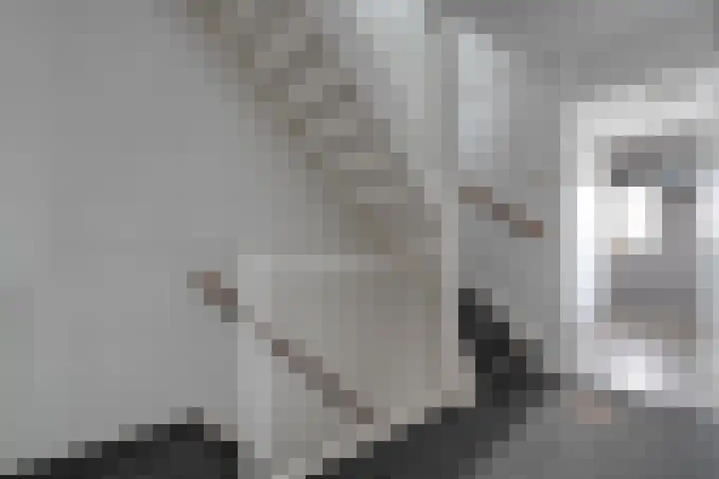 Geerdinkserf 55 Dalfsen thumbnail 21