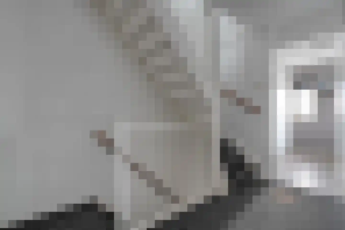 Geerdinkserf 55 Dalfsen thumbnail 21