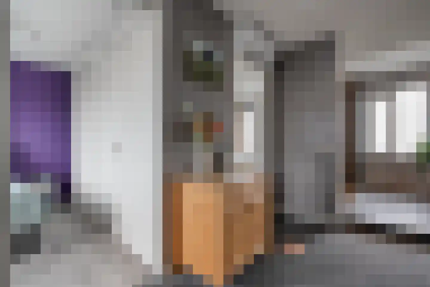 Geerdinkserf 55 Dalfsen thumbnail 22