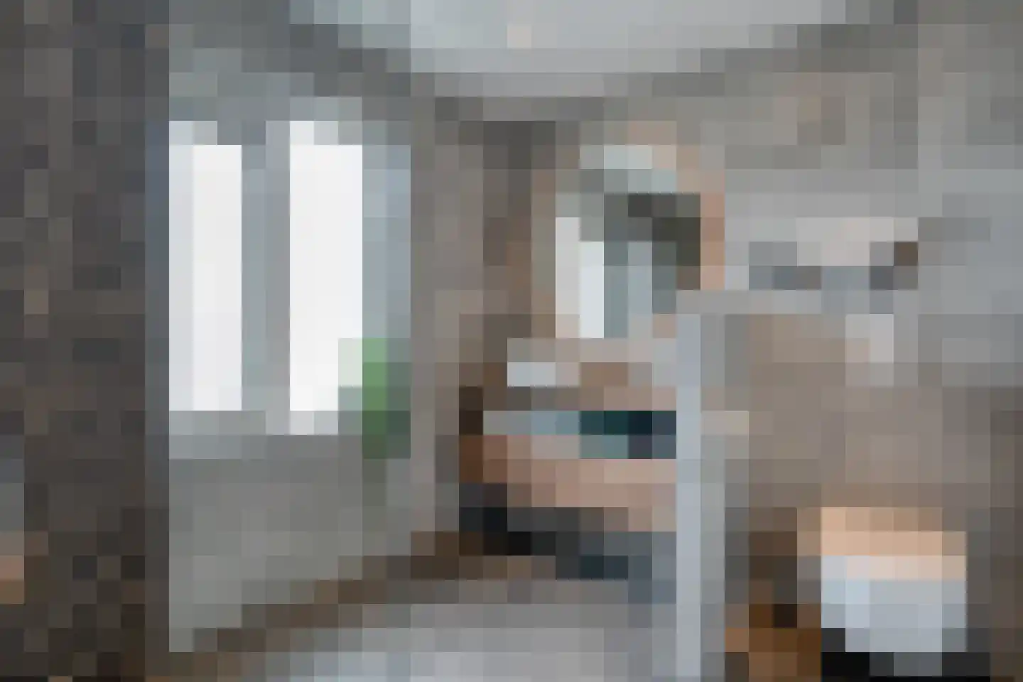 Geerdinkserf 55 Dalfsen thumbnail 29