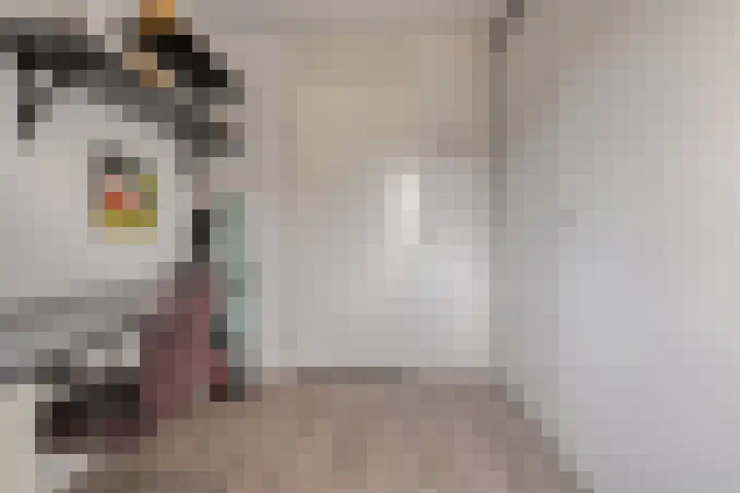Geerdinkserf 55 Dalfsen thumbnail 33