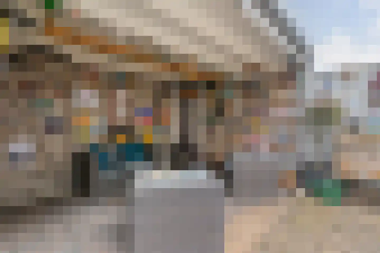 Geerdinkserf 55 Dalfsen thumbnail 45