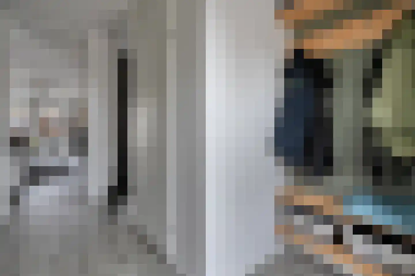 Geerdinkserf 55 Dalfsen thumbnail 7